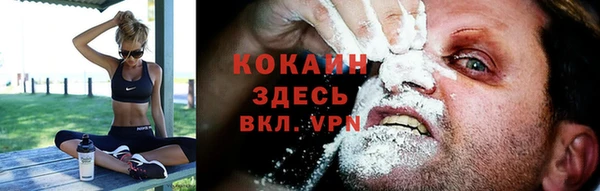 дживик Алзамай