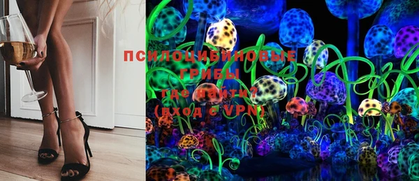 дурь Алексеевка