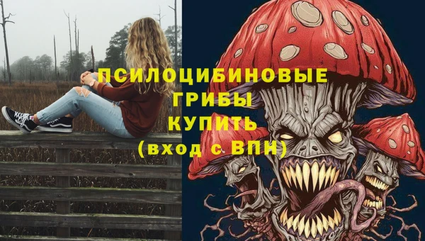 дурь Алексеевка