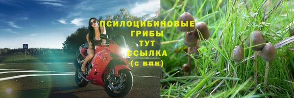дурь Алексеевка