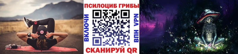 Псилоцибиновые грибы Psilocybe  Чухлома 
